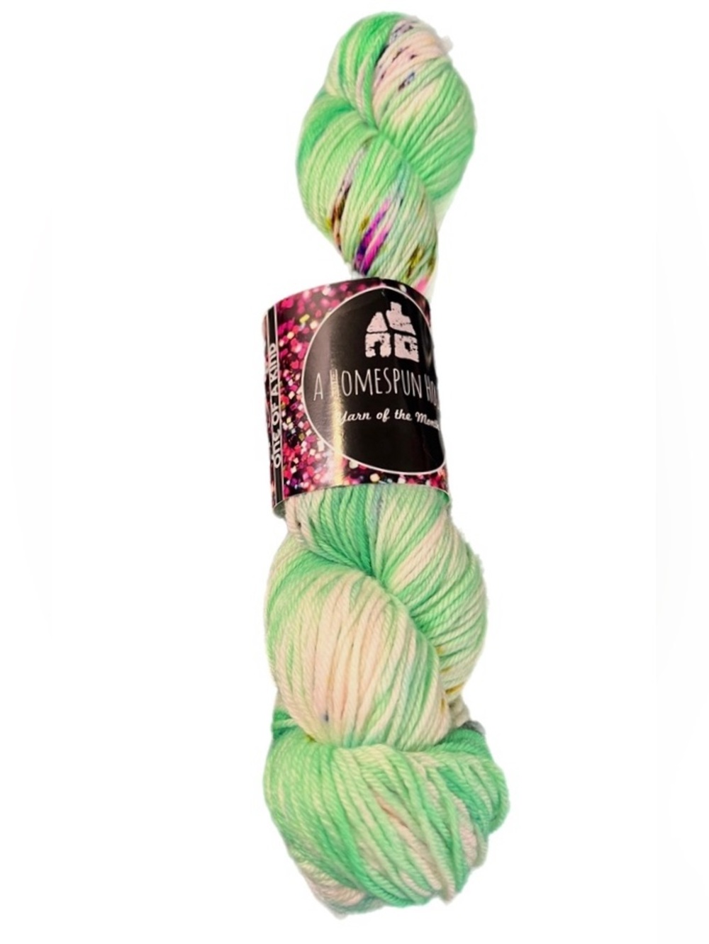 NWT A Homespun House Yarn Skein